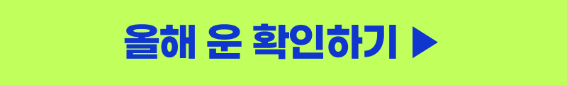 올해 운 확인하기